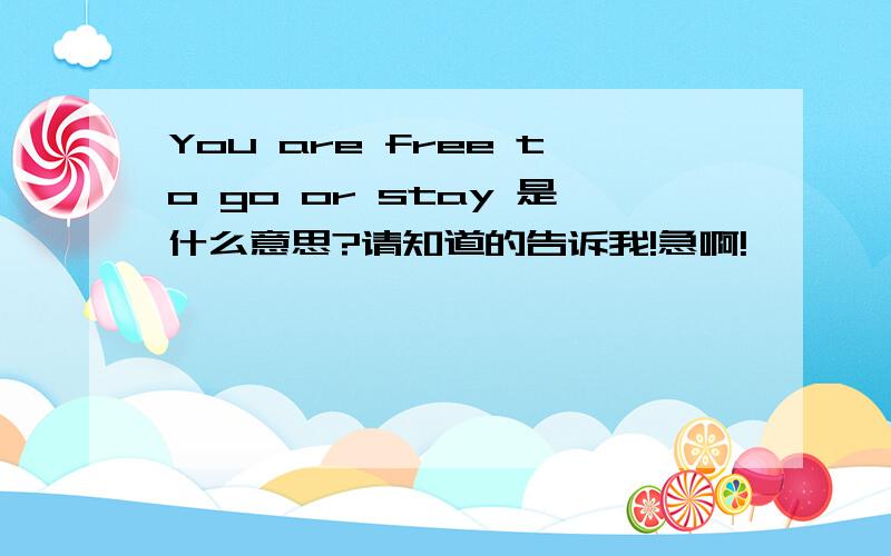 You are free to go or stay 是什么意思?请知道的告诉我!急啊!