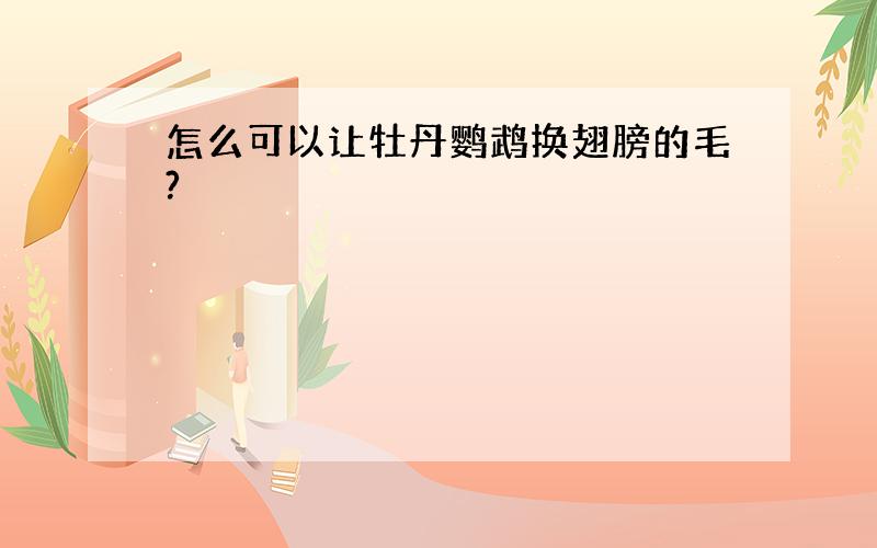 怎么可以让牡丹鹦鹉换翅膀的毛?