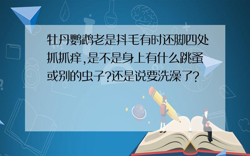 牡丹鹦鹉老是抖毛有时还脚四处抓抓痒,是不是身上有什么跳蚤或别的虫子?还是说要洗澡了?