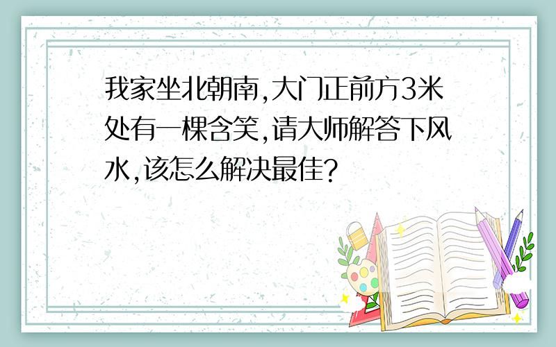 我家坐北朝南,大门正前方3米处有一棵含笑,请大师解答下风水,该怎么解决最佳?