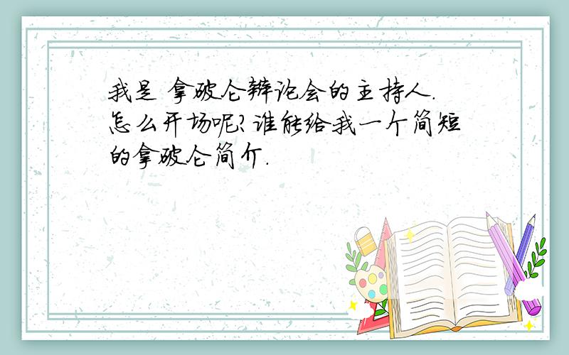 我是 拿破仑辩论会的主持人.怎么开场呢?谁能给我一个简短的拿破仑简介.