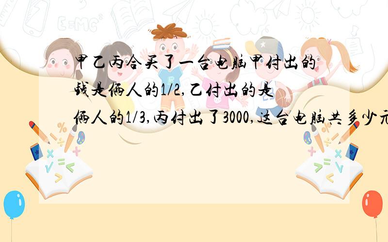 甲乙丙合买了一台电脑甲付出的钱是俩人的1/2,乙付出的是俩人的1/3,丙付出了3000,这台电脑共多少元.