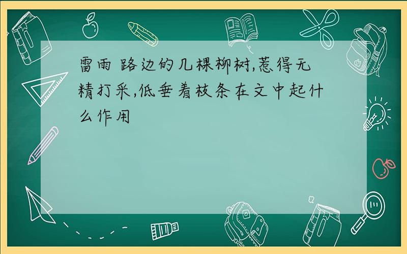 雷雨 路边的几棵柳树,惹得无精打采,低垂着枝条在文中起什么作用