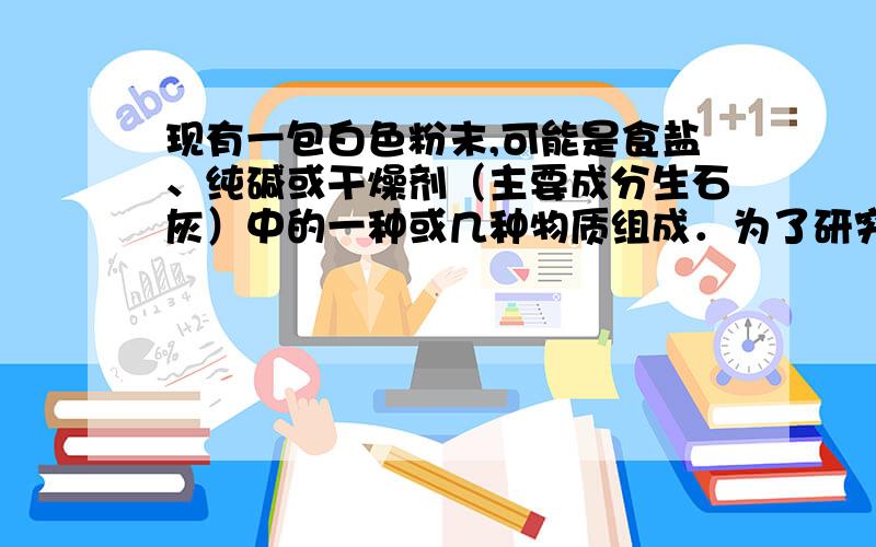 现有一包白色粉末,可能是食盐、纯碱或干燥剂（主要成分生石灰）中的一种或几种物质组成．为了研究白色粉