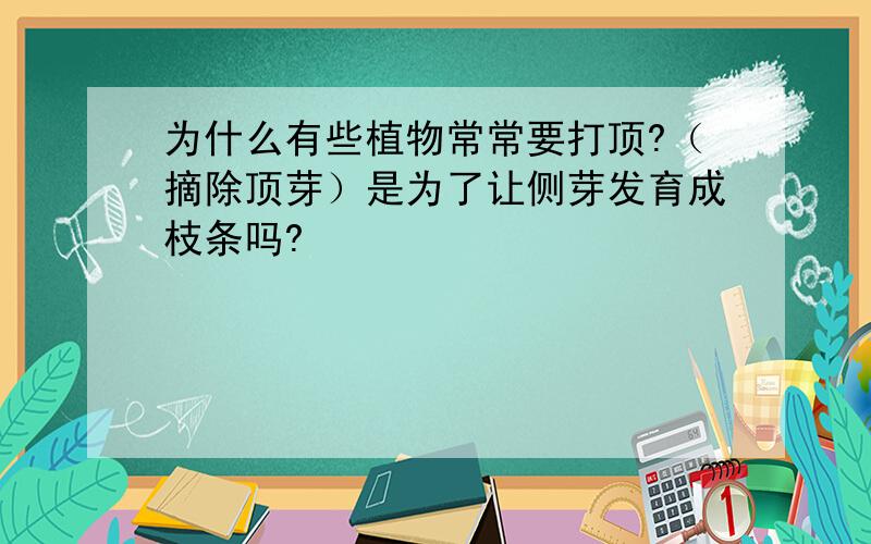 为什么有些植物常常要打顶?（摘除顶芽）是为了让侧芽发育成枝条吗?