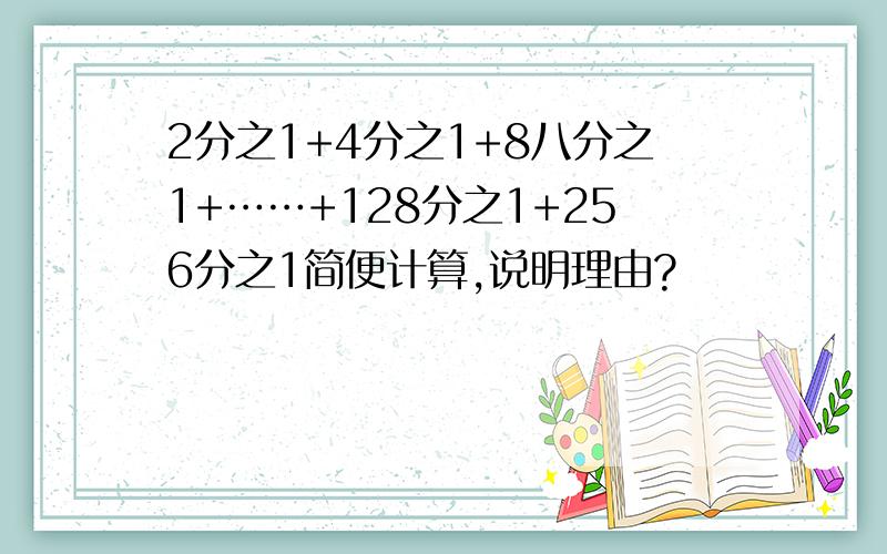 2分之1+4分之1+8八分之1+……+128分之1+256分之1简便计算,说明理由?