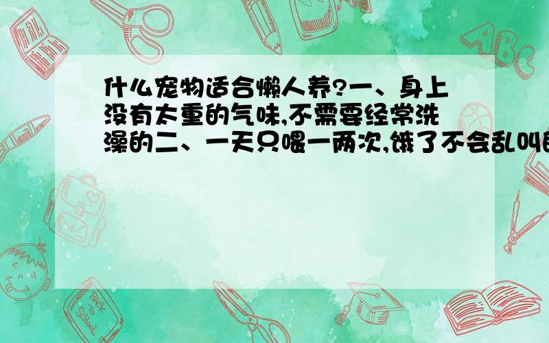 什么宠物适合懒人养?一、身上没有太重的气味,不需要经常洗澡的二、一天只喂一两次,饿了不会乱叫的三、懂事,不会随地大小便的