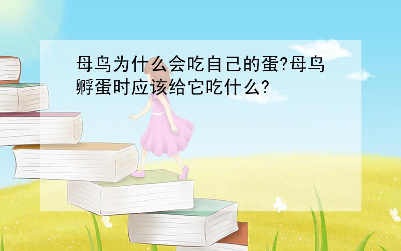 母鸟为什么会吃自己的蛋?母鸟孵蛋时应该给它吃什么?