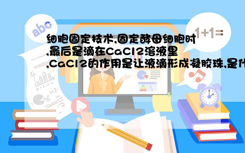 细胞固定技术,固定酵母细胞时,最后是滴在CaCl2溶液里,CaCl2的作用是让液滴形成凝胶珠,是什么原理?