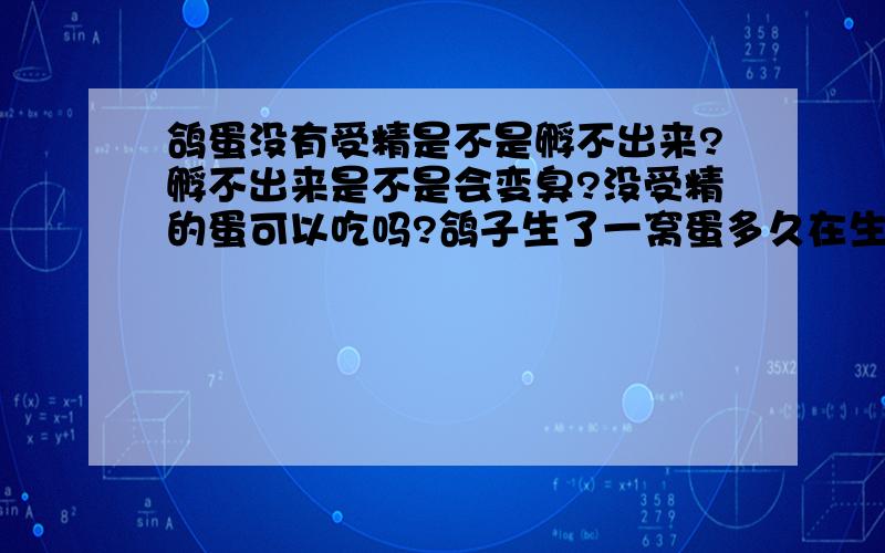 鸽蛋没有受精是不是孵不出来?孵不出来是不是会变臭?没受精的蛋可以吃吗?鸽子生了一窝蛋多久在生?