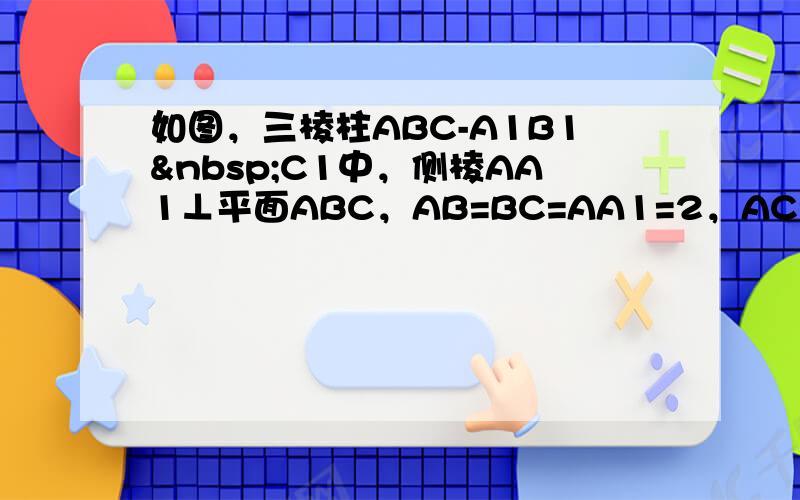 如图，三棱柱ABC-A1B1 C1中，侧棱AA1⊥平面ABC，AB=BC=AA1=2，AC=22，E，F分别是