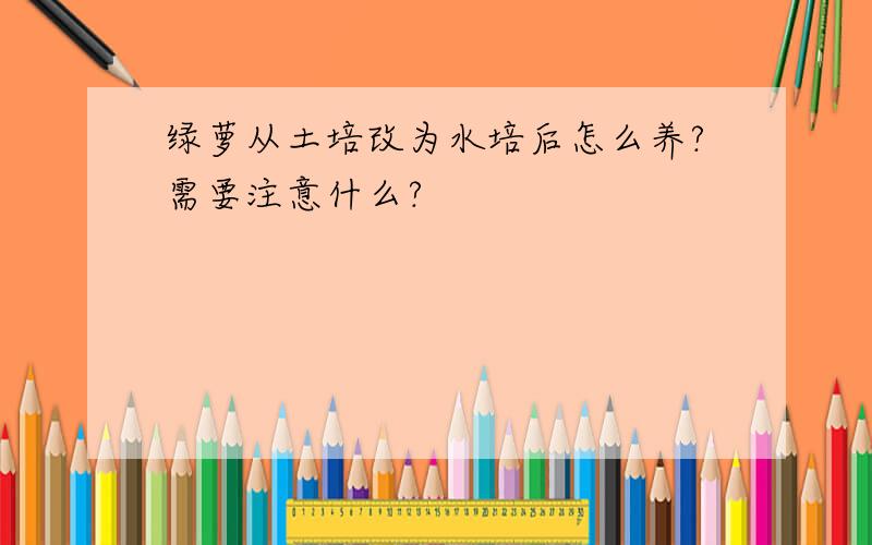 绿萝从土培改为水培后怎么养?需要注意什么?