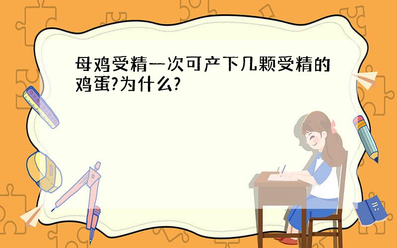 母鸡受精一次可产下几颗受精的鸡蛋?为什么?