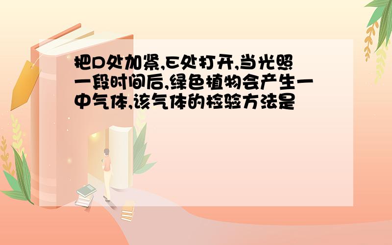 把D处加紧,E处打开,当光照一段时间后,绿色植物会产生一中气体,该气体的检验方法是