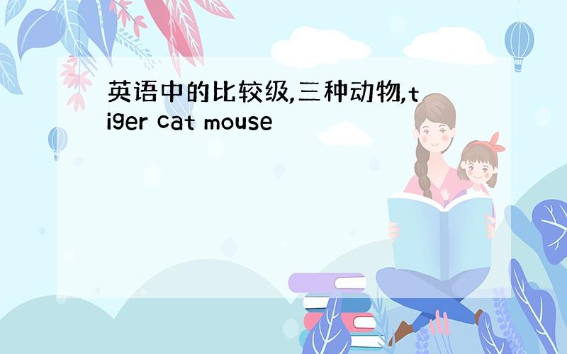 英语中的比较级,三种动物,tiger cat mouse