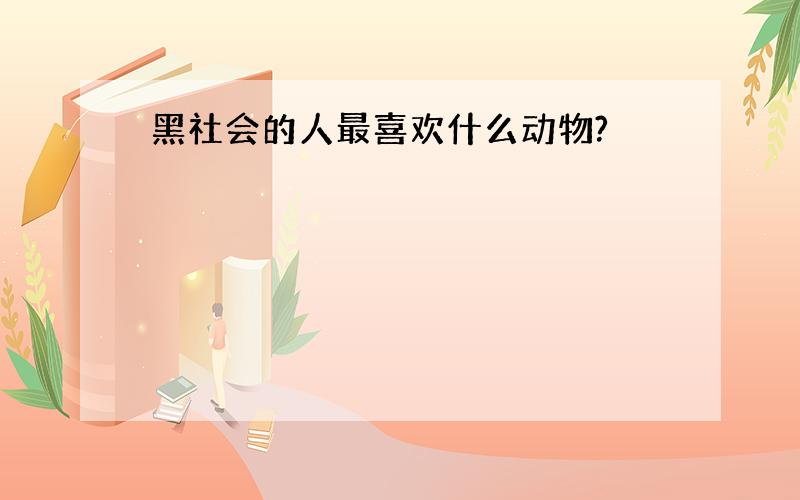 黑社会的人最喜欢什么动物?