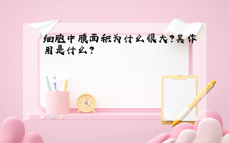 细胞中膜面积为什么很大?其作用是什么?