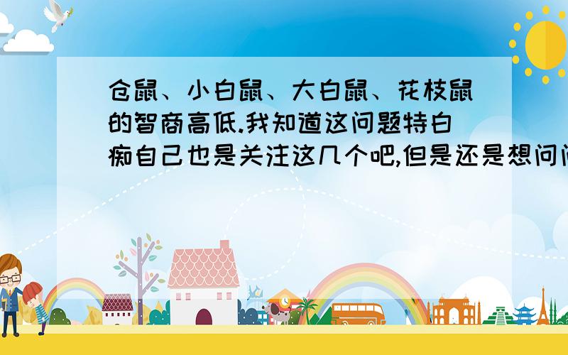 仓鼠、小白鼠、大白鼠、花枝鼠的智商高低.我知道这问题特白痴自己也是关注这几个吧,但是还是想问问