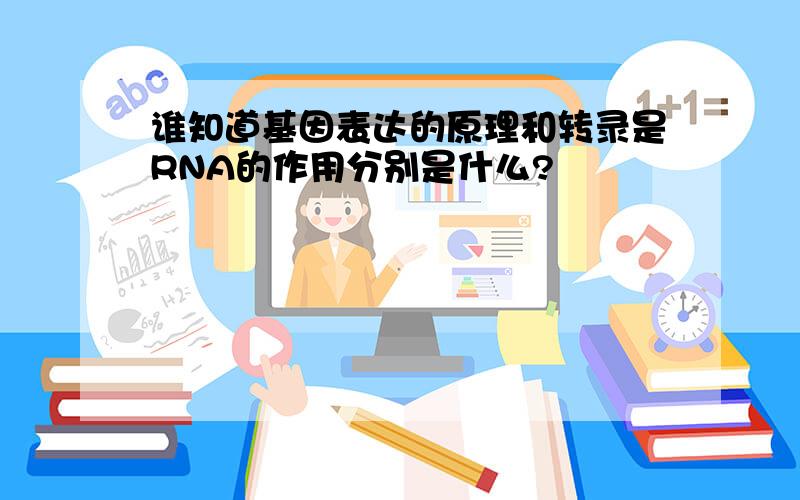 谁知道基因表达的原理和转录是RNA的作用分别是什么?