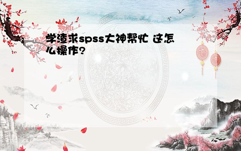 学渣求spss大神帮忙 这怎么操作?