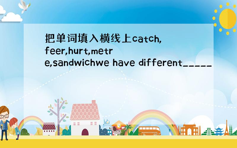 把单词填入横线上catch,feer,hurt,metre,sandwichwe have different_____