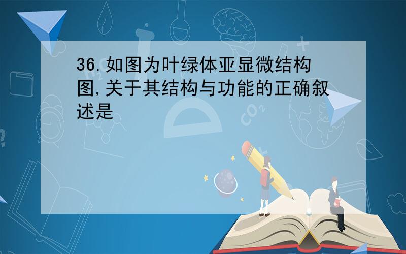 36.如图为叶绿体亚显微结构图,关于其结构与功能的正确叙述是