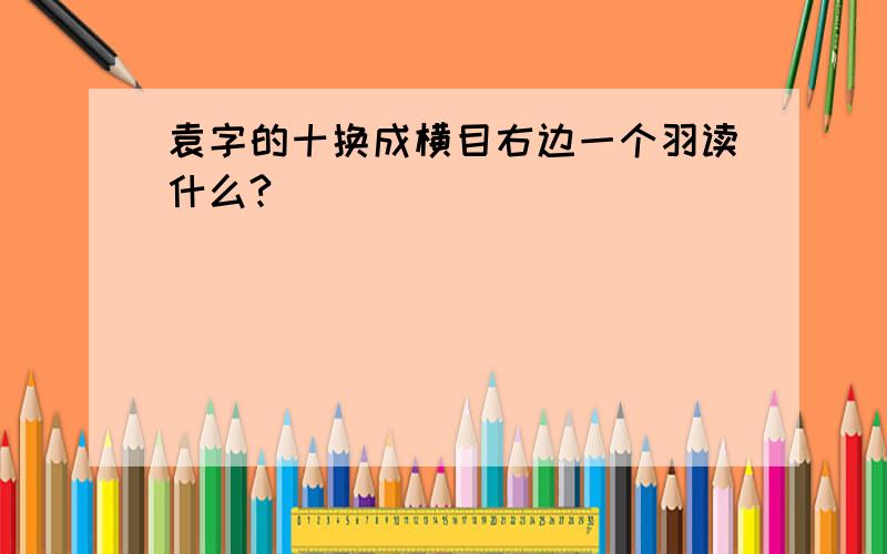 袁字的十换成横目右边一个羽读什么?