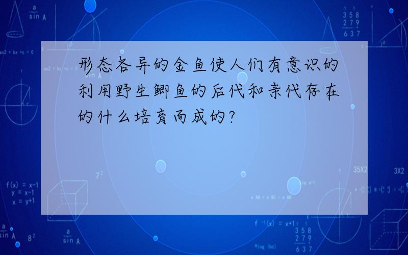 形态各异的金鱼使人们有意识的利用野生鲫鱼的后代和亲代存在的什么培育而成的?