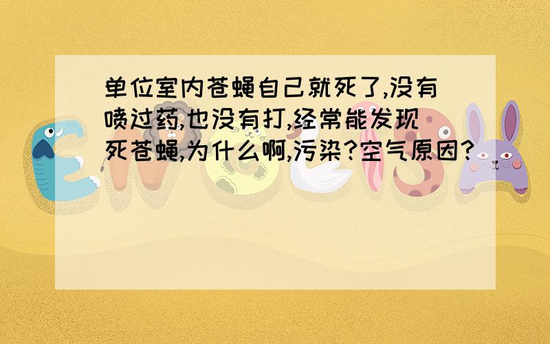 单位室内苍蝇自己就死了,没有喷过药,也没有打,经常能发现死苍蝇,为什么啊,污染?空气原因?