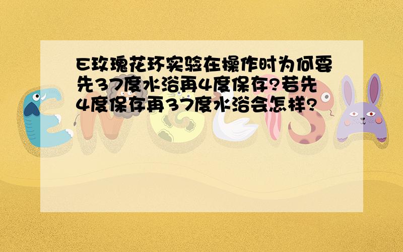 E玫瑰花环实验在操作时为何要先37度水浴再4度保存?若先4度保存再37度水浴会怎样?