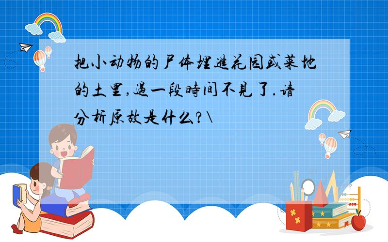 把小动物的尸体埋进花园或菜地的土里,过一段时间不见了.请分析原故是什么?\