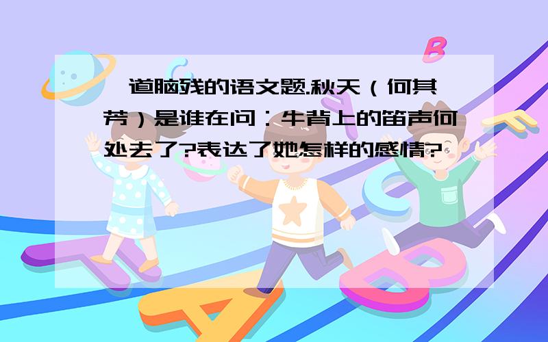 一道脑残的语文题.秋天（何其芳）是谁在问：牛背上的笛声何处去了?表达了她怎样的感情?