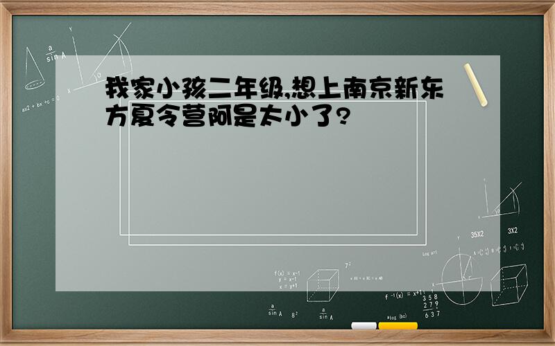 我家小孩二年级,想上南京新东方夏令营阿是太小了?