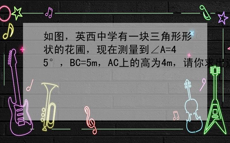 如图，英西中学有一块三角形形状的花圃，现在测量到∠A=45°，BC=5m，AC上的高为4m，请你求出这块花圃的面积？