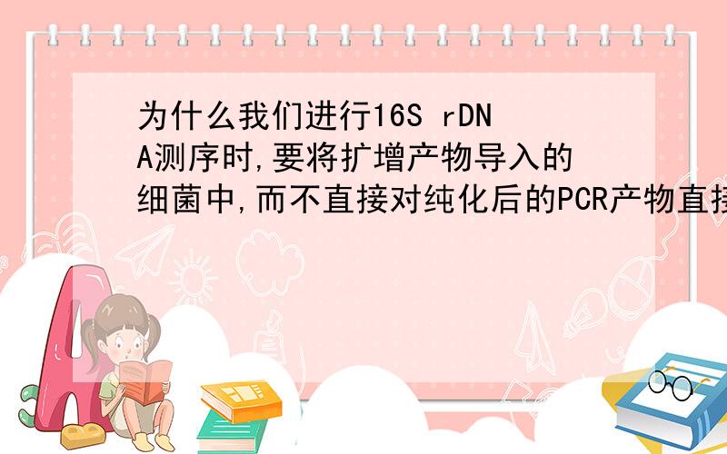 为什么我们进行16S rDNA测序时,要将扩增产物导入的细菌中,而不直接对纯化后的PCR产物直接测序?