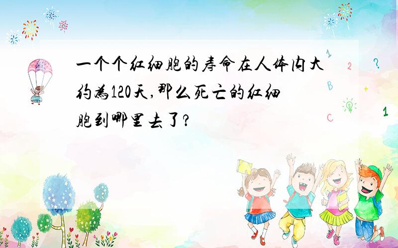 一个个红细胞的寿命在人体内大约为120天,那么死亡的红细胞到哪里去了?