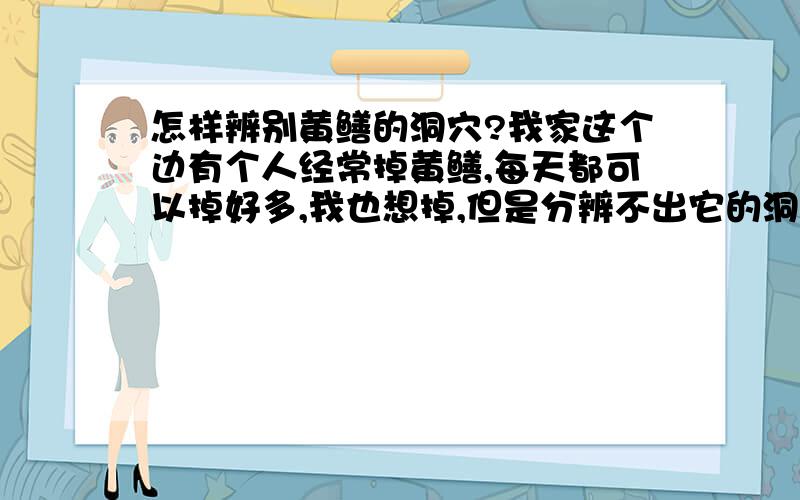 怎样辨别黄鳝的洞穴?我家这个边有个人经常掉黄鳝,每天都可以掉好多,我也想掉,但是分辨不出它的洞穴,让他教我又不肯!我想知