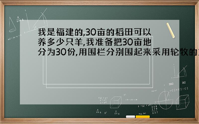 我是福建的,30亩的稻田可以养多少只羊,我准备把30亩地分为30份,用围栏分别围起来采用轮牧的方式