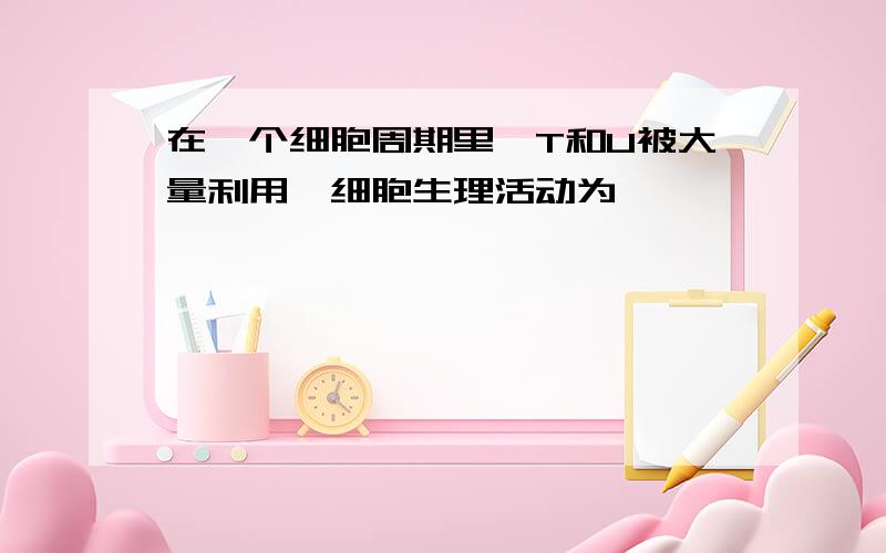 在一个细胞周期里,T和U被大量利用,细胞生理活动为