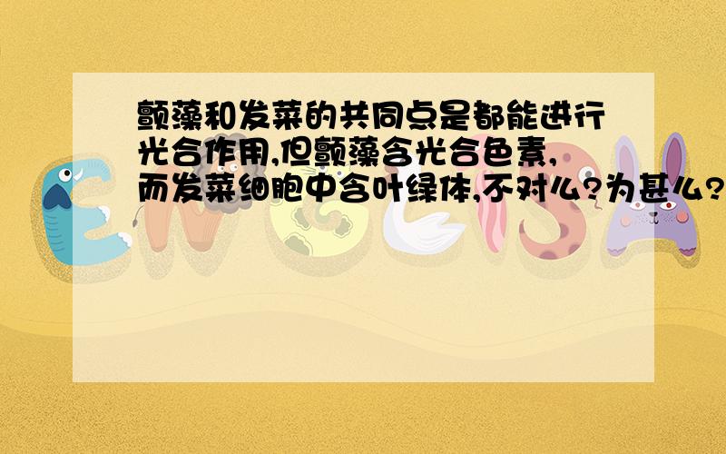 颤藻和发菜的共同点是都能进行光合作用,但颤藻含光合色素,而发菜细胞中含叶绿体,不对么?为甚么?