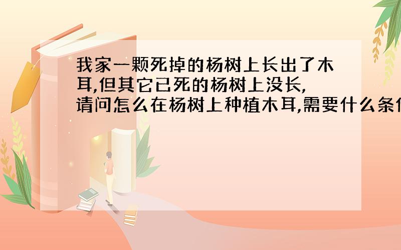 我家一颗死掉的杨树上长出了木耳,但其它已死的杨树上没长,请问怎么在杨树上种植木耳,需要什么条件,谢