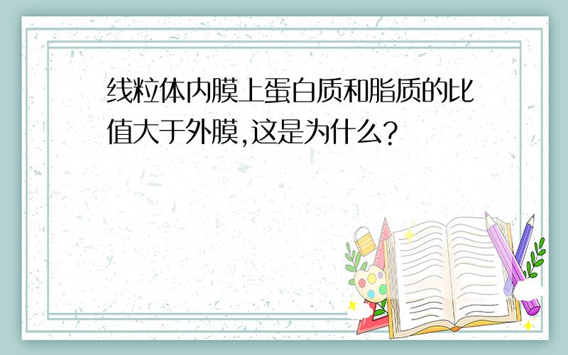 线粒体内膜上蛋白质和脂质的比值大于外膜,这是为什么?