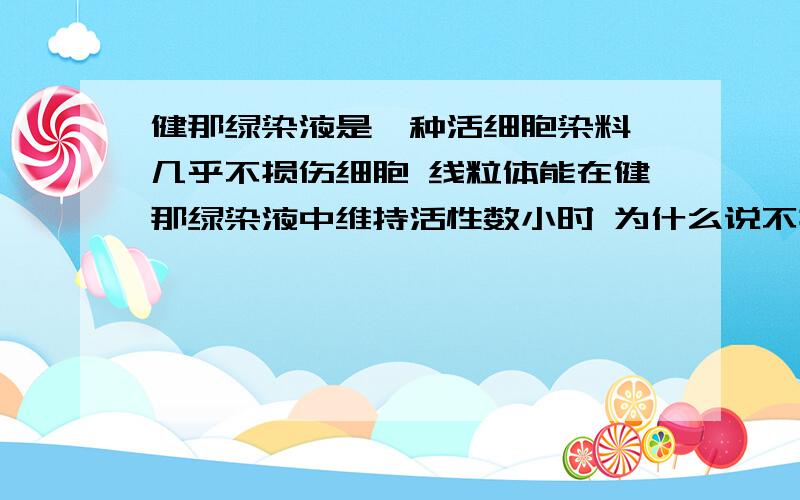 健那绿染液是一种活细胞染料,几乎不损伤细胞 线粒体能在健那绿染液中维持活性数小时 为什么说不损伤细胞