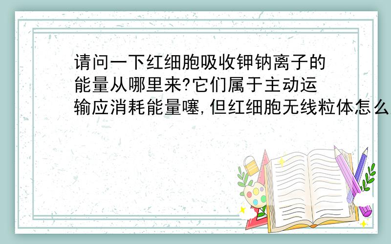 请问一下红细胞吸收钾钠离子的能量从哪里来?它们属于主动运输应消耗能量噻,但红细胞无线粒体怎么产生能量啊?