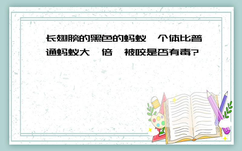 长翅膀的黑色的蚂蚁,个体比普通蚂蚁大一倍,被咬是否有毒?