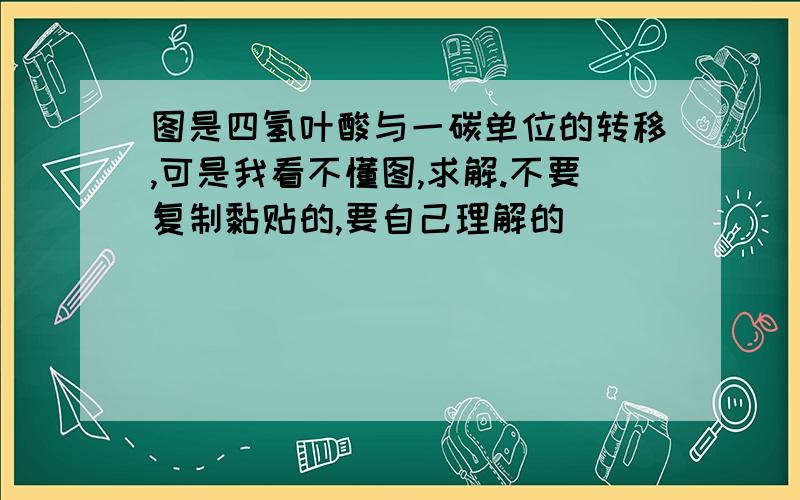 图是四氢叶酸与一碳单位的转移,可是我看不懂图,求解.不要复制黏贴的,要自己理解的