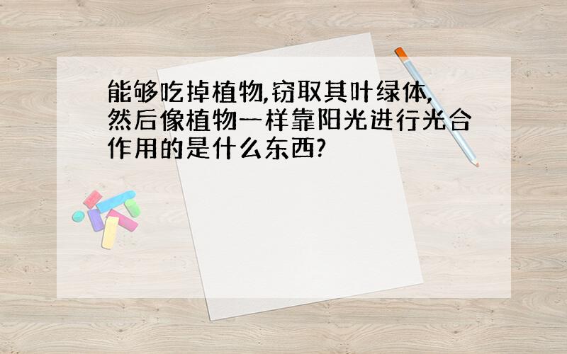 能够吃掉植物,窃取其叶绿体,然后像植物一样靠阳光进行光合作用的是什么东西?