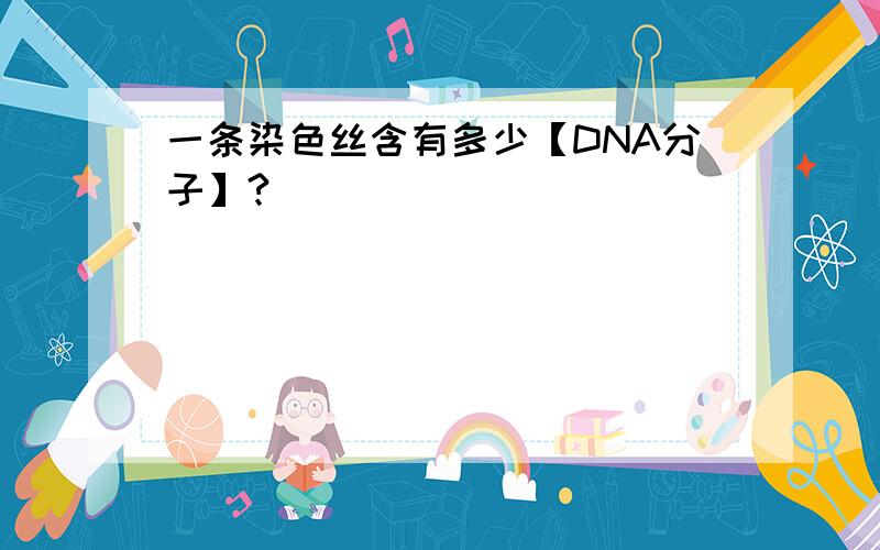 一条染色丝含有多少【DNA分子】?