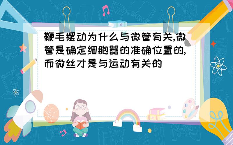 鞭毛摆动为什么与微管有关,微管是确定细胞器的准确位置的,而微丝才是与运动有关的