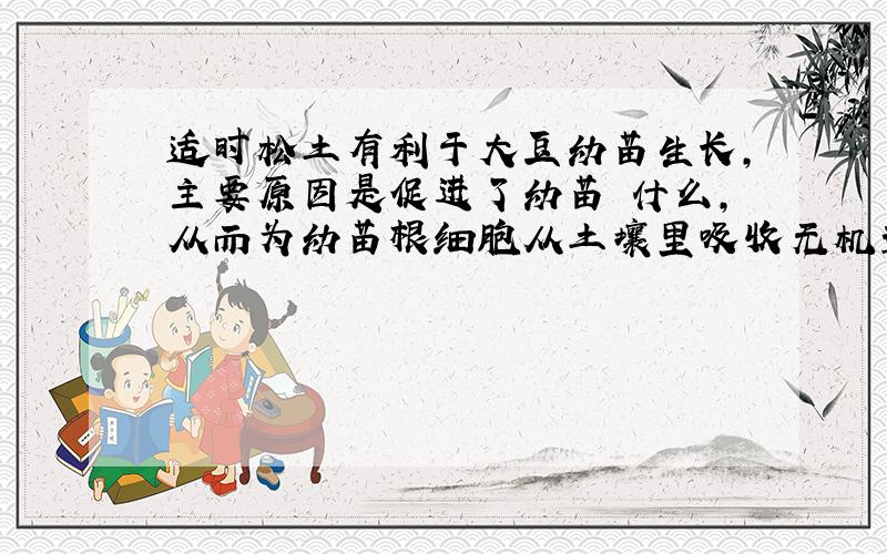 适时松土有利于大豆幼苗生长,主要原因是促进了幼苗 什么,从而为幼苗根细胞从土壤里吸收无机盐提供能量